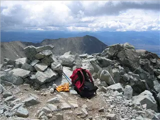 small_040627 co little bearIMG_0084.webp